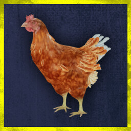 All Chickens Go to Heaven