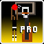 10 Rebounds Pro