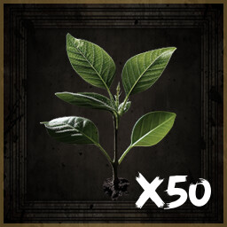 BOTANIST