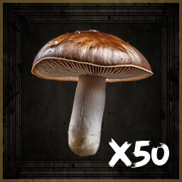 MUSHROOM MAN