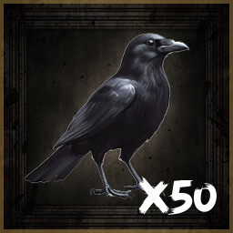 ORNITHOLOGIST