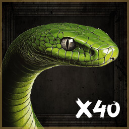 SNAKE FIGHTER