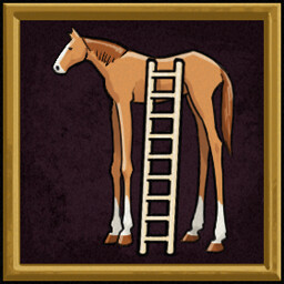 On your High Horses