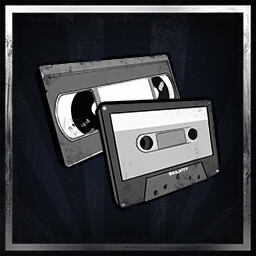 Audiovisual confessions