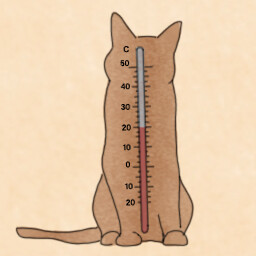 Temperature Predictor