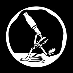 A Tool for Future-Seeing