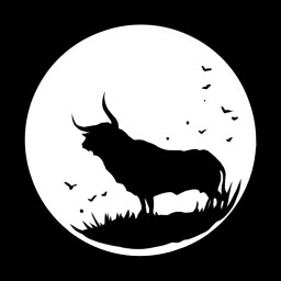 I Could Have Never Known