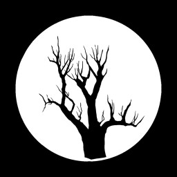 The Darkest of Woods