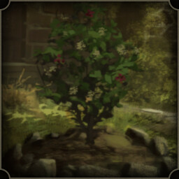 Nature's Bounty
