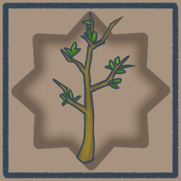 Grow, Little Tree, Grow!