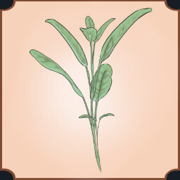 Sage Sprout