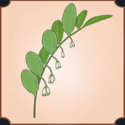 Solomon's Seal