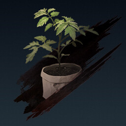 Green Thumb