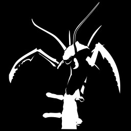 How to survive the desert