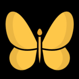 Flutter Update