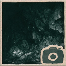 Forest cave
