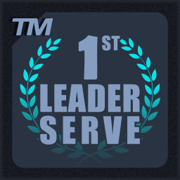 The Serve Leader