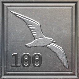 Is it a Bird?