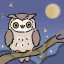 Night Owl