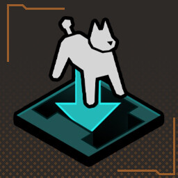 Agility dog