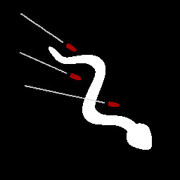 Serpentine