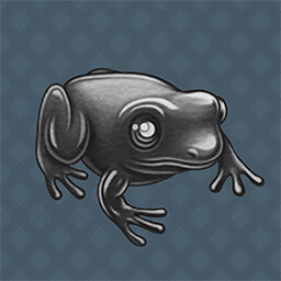 Black Frog