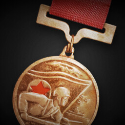 Military Merit Medal for PRC
