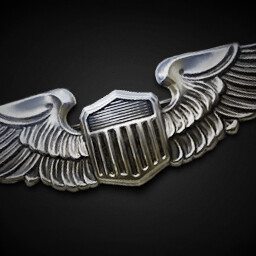 Pilots Badge for USA