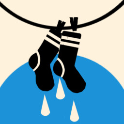 Wet Socks
