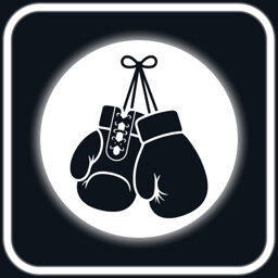 The Boxer