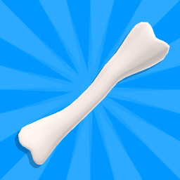 Unknown Bone