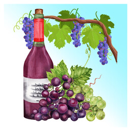 Wine Seller