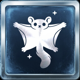 Squirrel flyer