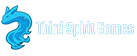 Logo Third Spirit Games